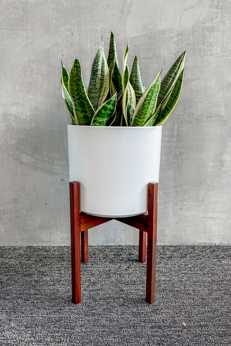 white plant pot with wood stand White Solid Goods Planter – ECOVIBE