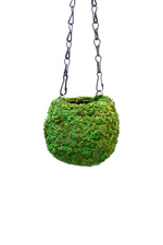 Supermoss-Preserved-Moss-Kokedama-with-removeable-hanger