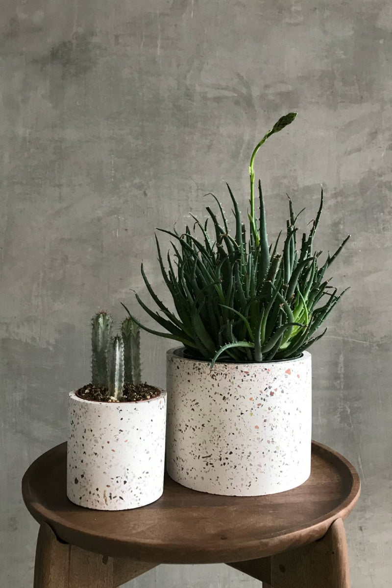 terrazzo planter pot White Terrazzo Pot – ECOVIBE