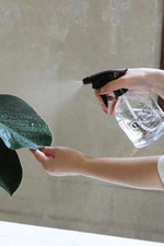 2 of 2:Plant Spray Bottle