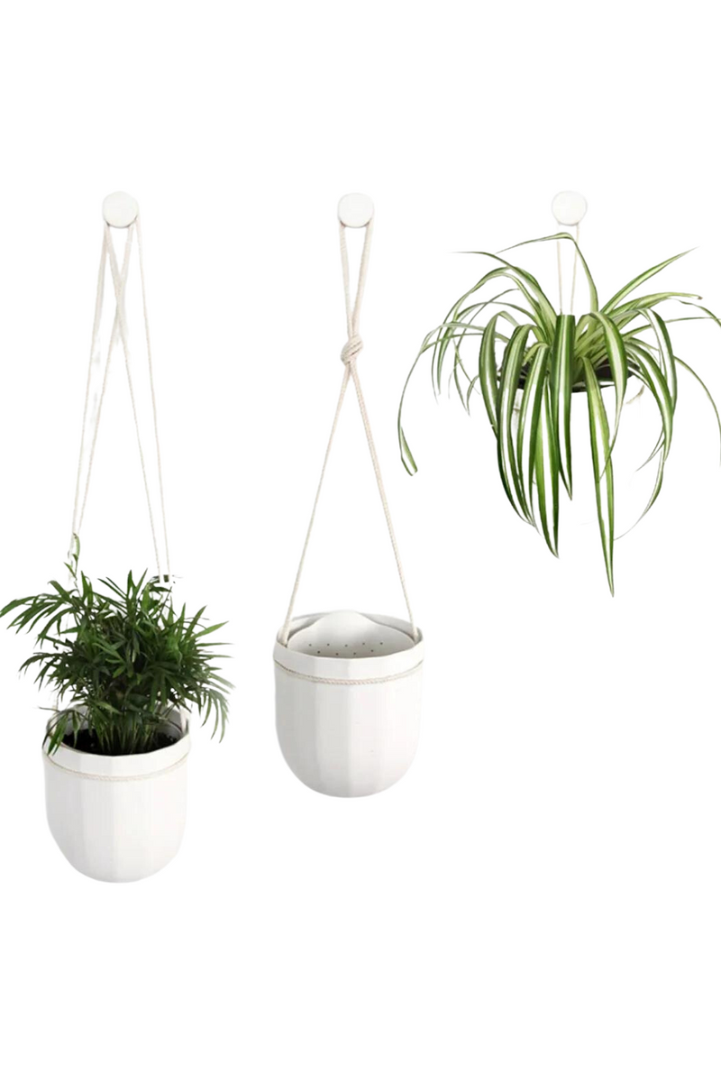 loop hanging planter WallyGrow Loop Hanging Planter – ECOVIBE