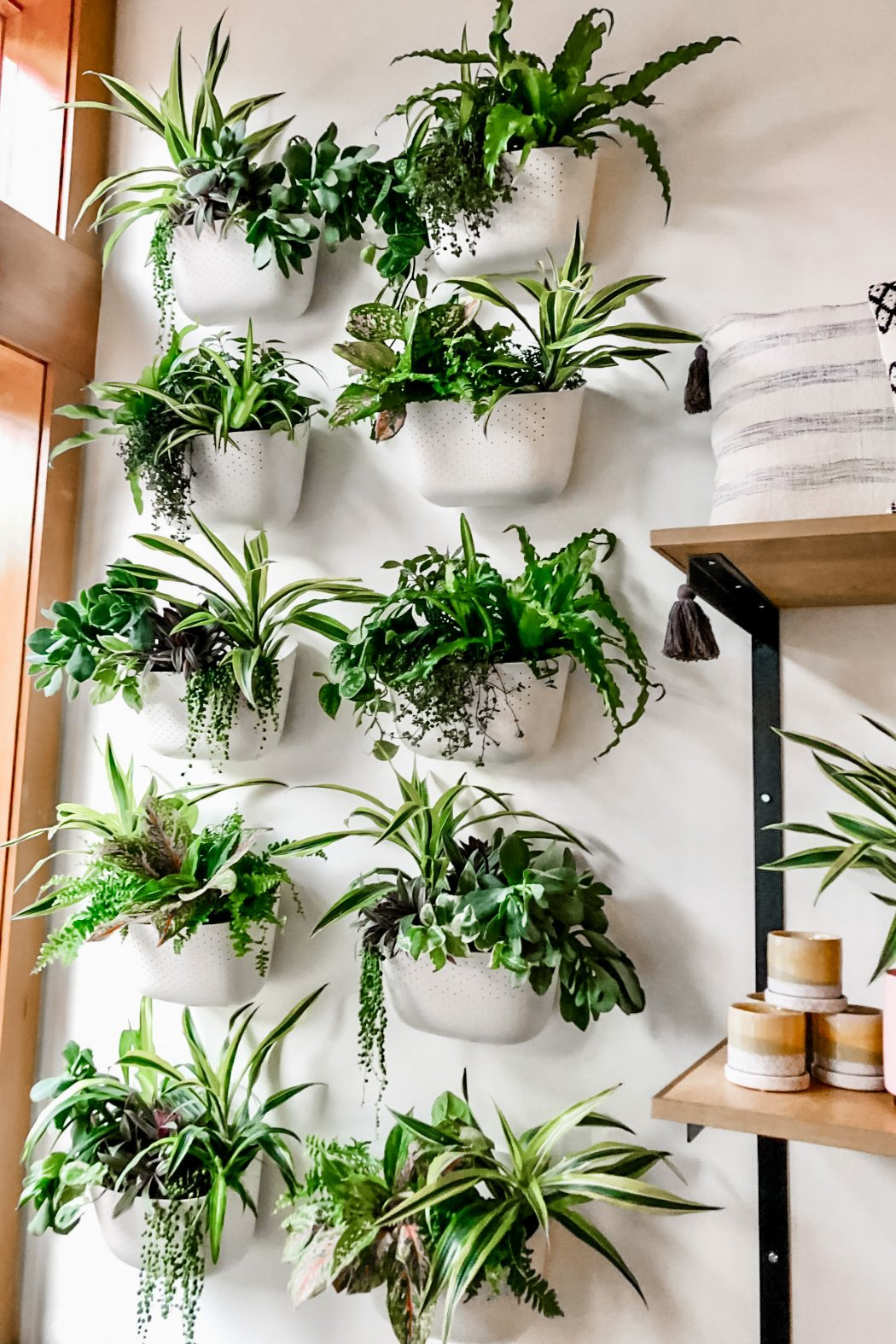 indoor plants for wall Custom Designed WallyGrow Wall Planter – ECOVIBE