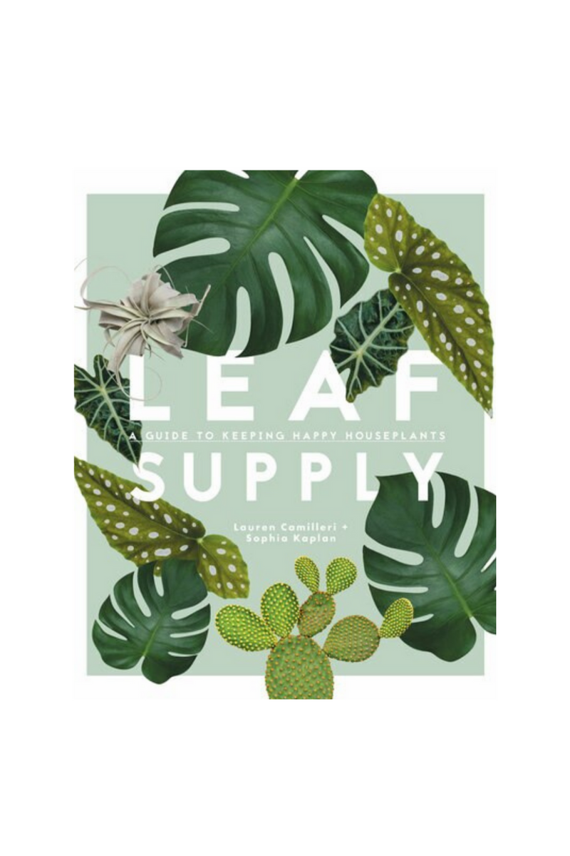 Leaf Supply: A Guide to Keeping Happy House Plants By Lauren Camilleri and Sophia Kaplan