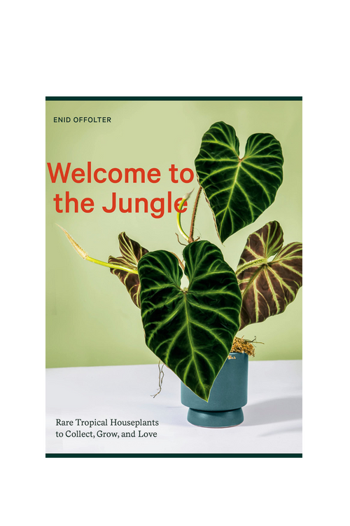 Welcome to the Jungle: Rare Tropical Houseplants to Collect, Grow, and Love By Enid Offolter