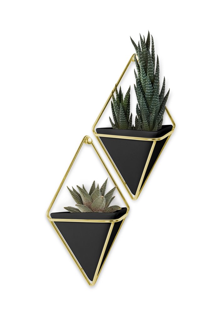 Umbra Trigg Small Geo Wall Display Set