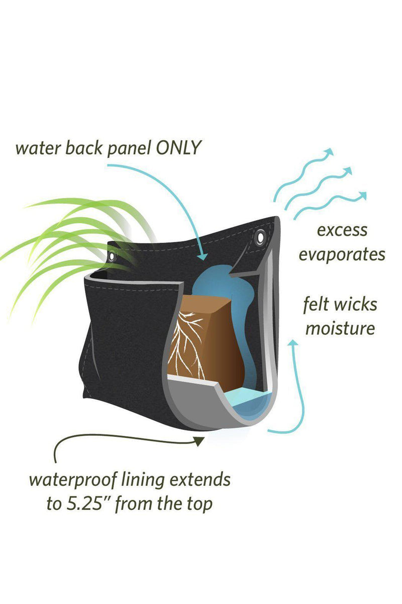 EcoVibe Style - Wally Pro Planter Pocket, 